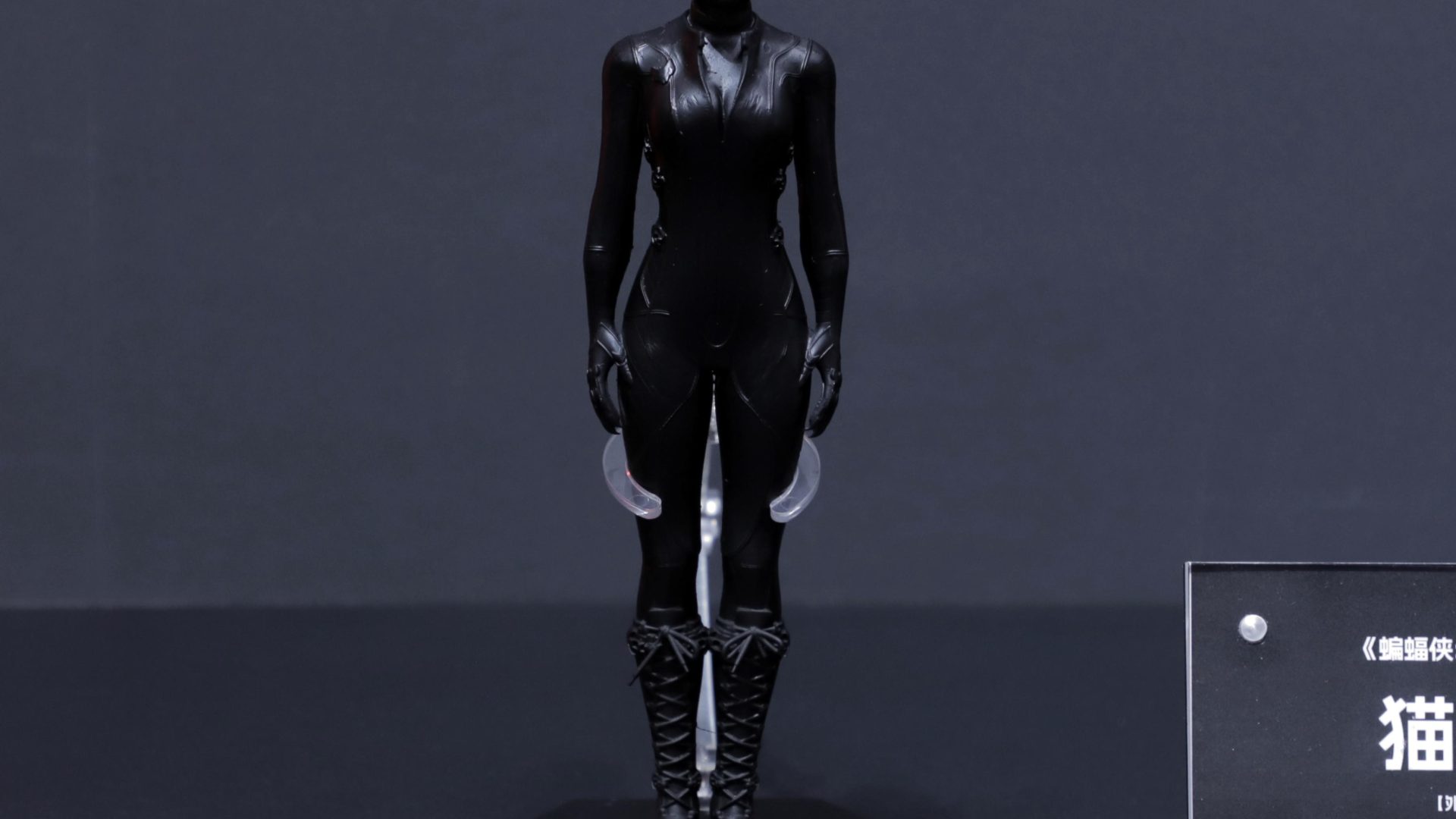 LPZZ Batman Arkham Knight Catwoman