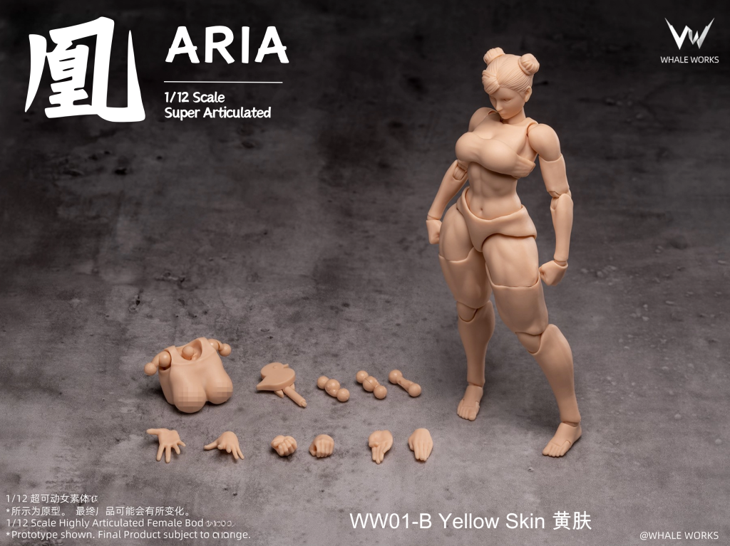 WHALE WORKS WW01 1/12 ARIA Female Body