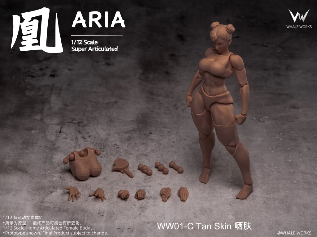 WHALE WORKS WW01 1/12 ARIA Female Body