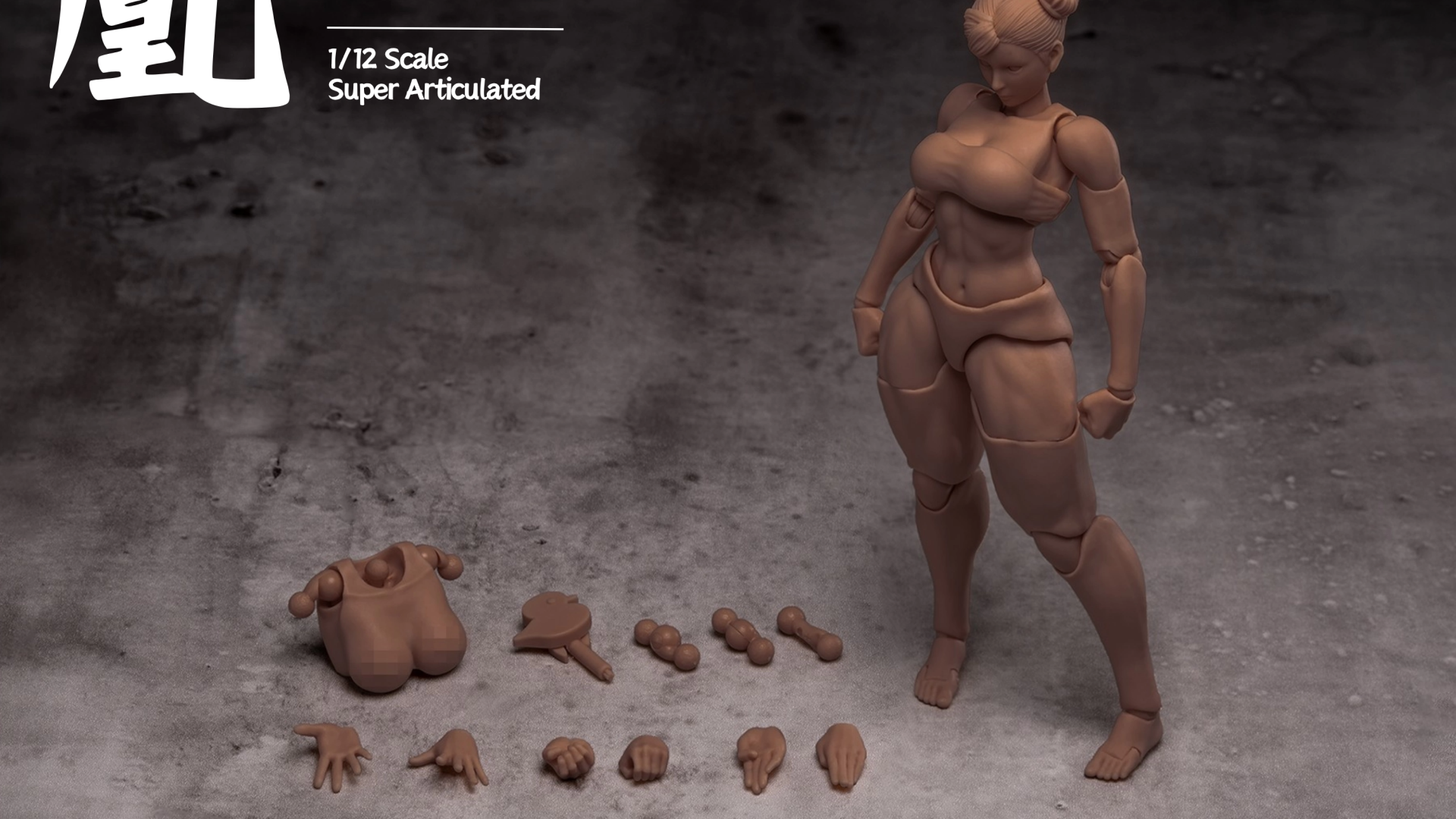 WHALE WORKS WW01 1/12 ARIA Female Body