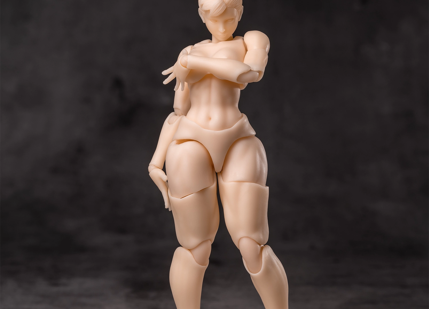 WHALE WORKS WW01 1/12 ARIA Female Body