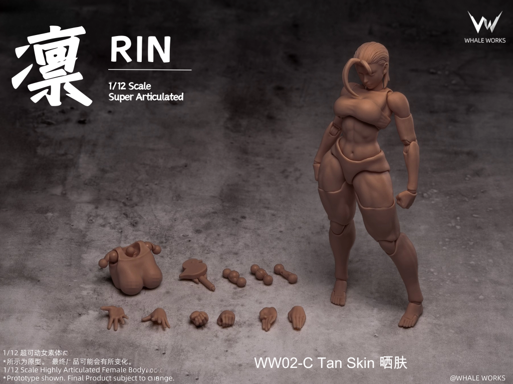 WHALE WORKS WW02 1/12 RIN Female Body