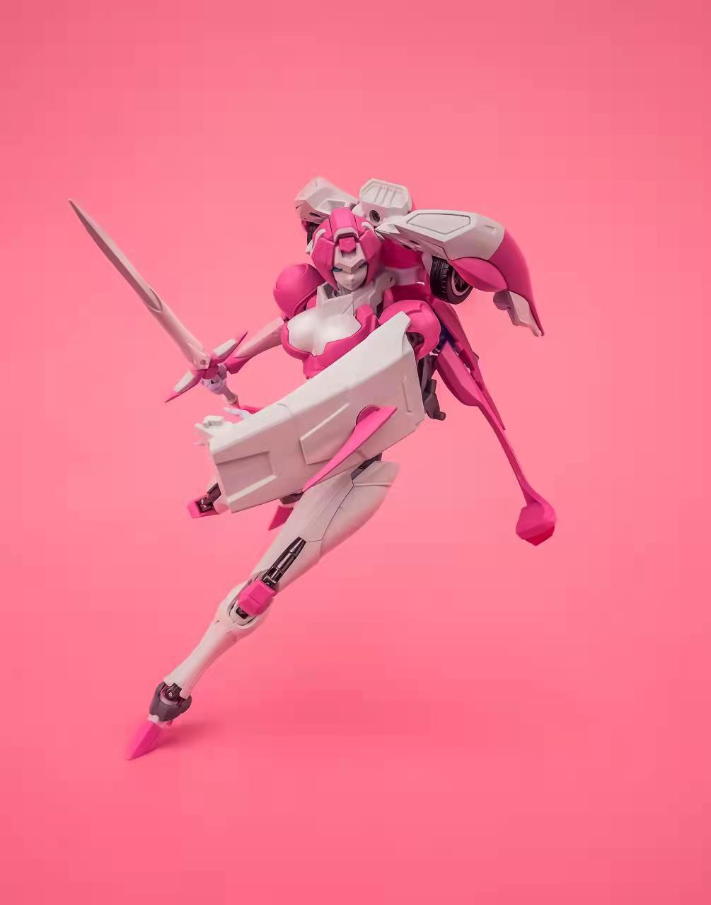 Fighting pose